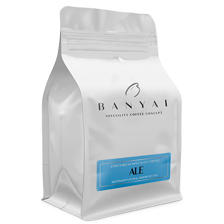 Bányai Speciality Coffee Concept